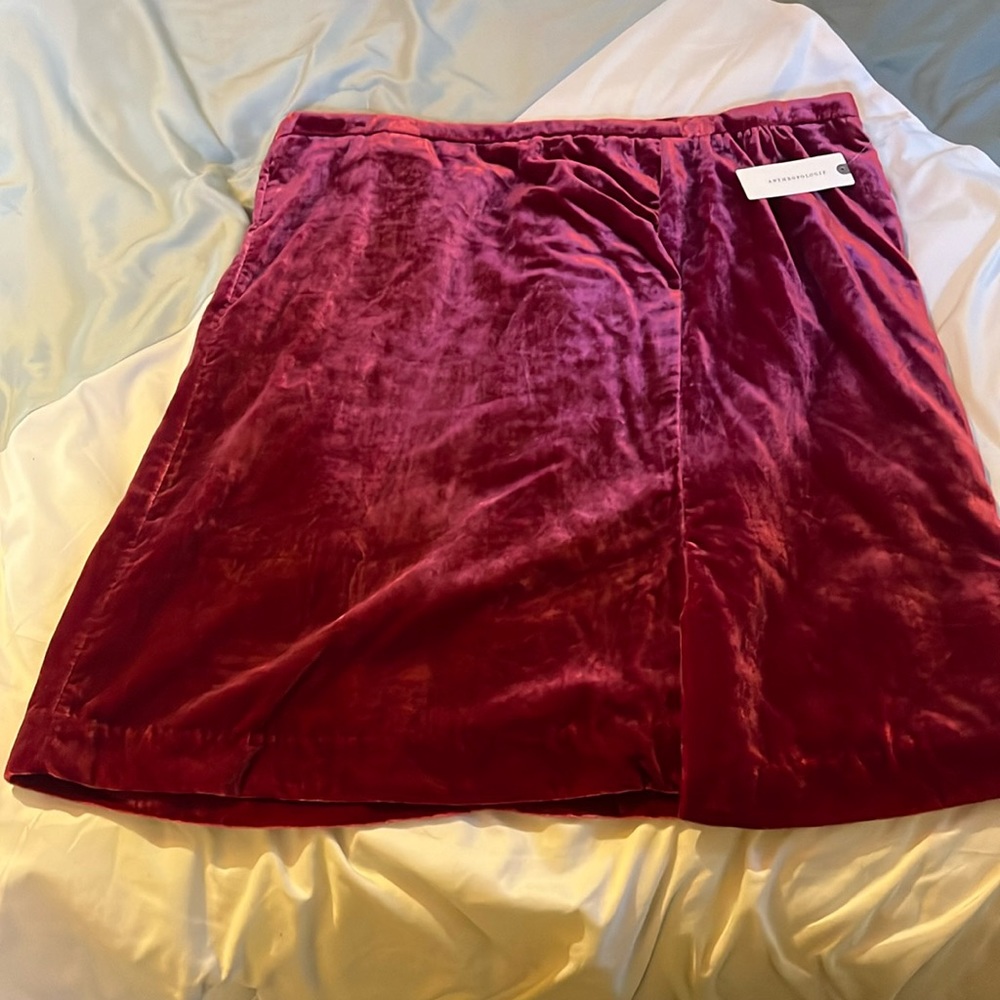 Anthropologie Velvet Mini Skirt NWT